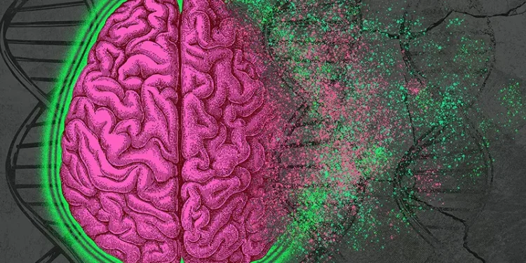 رمزگشایی رمز مرگ نورون در آلزایمر